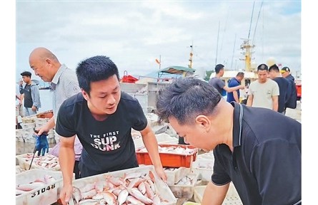 廣東陽江 開漁季的變與不變