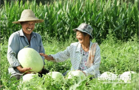 家鄉(xiāng)農(nóng)產(chǎn)品大學(xué)生推薦官｜品牌手記⑧：萬榮三白瓜品牌密碼與青春解碼