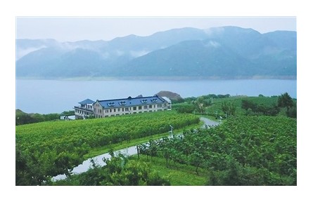 有世界最大“野生山葡萄”原酒貯藏窖，所產(chǎn)葡萄酒為開(kāi)國(guó)大典專(zhuān)用酒  在“北國(guó)山城”品“東方波爾多”——“北冰紅”