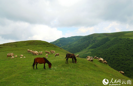 云南大山深處藏著個(gè)“阿勒泰”