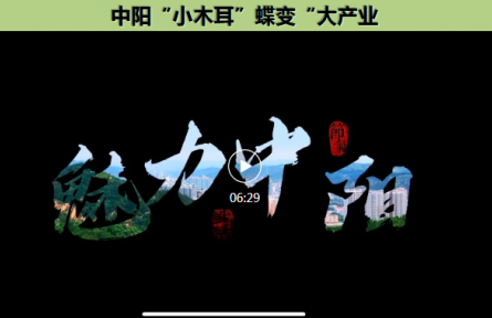 家鄉(xiāng)農(nóng)產(chǎn)品大學(xué)生推薦官｜品牌短視頻④：中陽(yáng)“小木耳”蝶變“大產(chǎn)業(yè)”