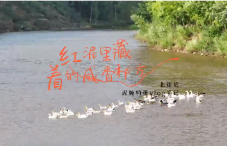 家鄉(xiāng)農(nóng)產(chǎn)品大學(xué)生推薦官｜品牌短視頻⑤：紅泥里藏著的咸香秘方