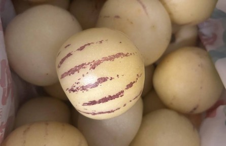 小麗逛菜場 | 人參果是蔬菜不是水果？小心！含糖量比大多數(shù)水果高