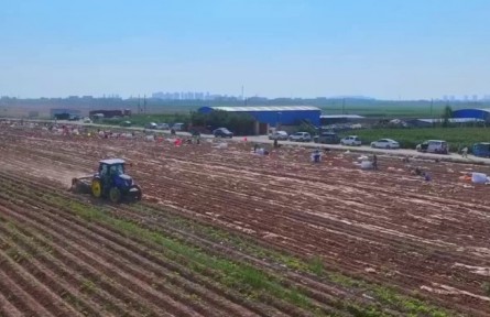 甘肅:豐收時(shí)節(jié) 特色農(nóng)產(chǎn)品助力農(nóng)民增收