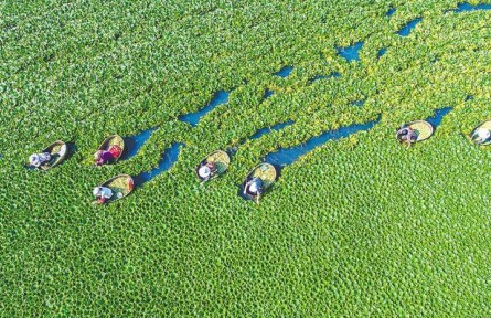 湖北浠水：引歸巢能人 育致富頭雁