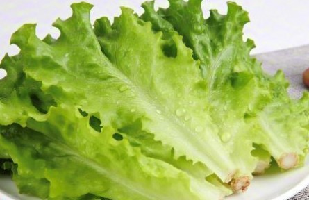 辟謠|生吃生菜真的會感染寄生蟲嗎？