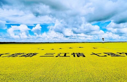 踏上黑土地，真正讀懂了“北大荒”