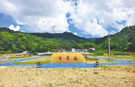 科技賦能林下經(jīng)濟(jì) 湖北巴東經(jīng)驗(yàn)全國(guó)推廣