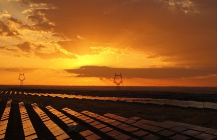 為騰格里沙漠穿“綠衣”