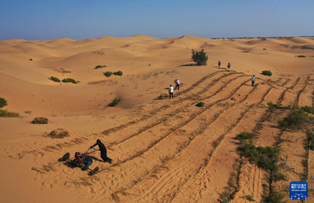 庫布其沙漠治沙進(jìn)行時(shí)