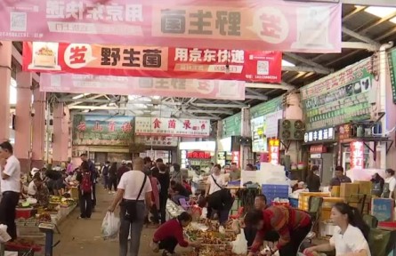 保護(hù)生態(tài) 科技支撐 做強市場 云南推動食用菌產(chǎn)業(yè)高質(zhì)量發(fā)展