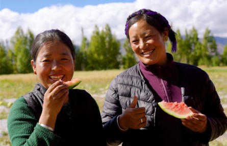 西藏首次！日喀則成功規(guī)模化種植高海拔露地西瓜