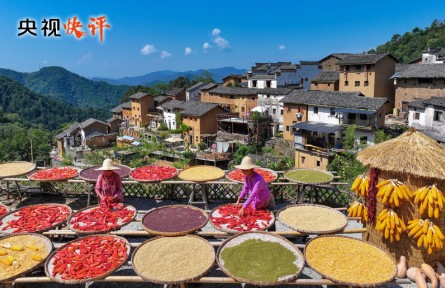 努力建設(shè)宜居宜業(yè)和美鄉(xiāng)村 共同奔向中國式現(xiàn)代化的美好未來