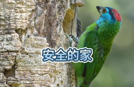 旅游寶藏地！帶你解鎖中國34個(gè)世界生物圈保護(hù)區(qū)