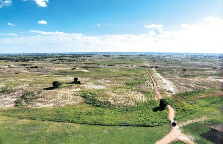 治沙有良方 沙區(qū)有奔頭