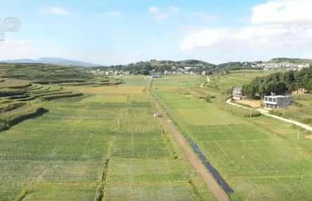 ?國(guó)慶中秋“菜籃子”供應(yīng)充足 價(jià)穩(wěn)物豐滿足節(jié)日消費(fèi)需求