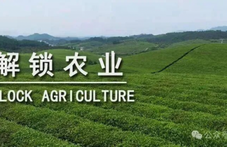 未來十年，中國需要什么樣的農(nóng)業(yè)品牌？｜特稿