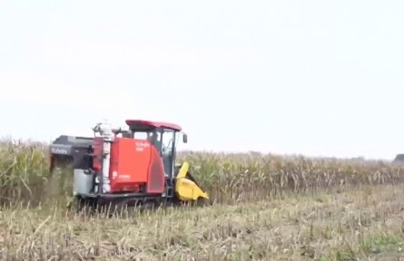 山西農(nóng)技農(nóng)機服務下沉秋收一線搶收