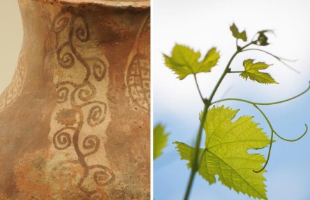 新疆最早的葡萄園 被先民手繪下來(lái)了