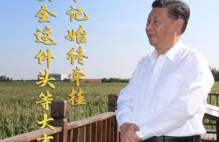 微視頻|糧食安全這件頭等大事 總書記始終牽掛