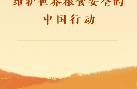 第一觀察|維護(hù)世界糧食安全的中國行動