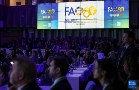 聯(lián)合國糧農(nóng)組織舉行世界糧食日暨成立80周年慶?；顒?></a></td>
<td align=