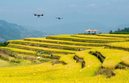 年收入約18萬(wàn)億元！鄉(xiāng)村產(chǎn)業(yè)繪新貌