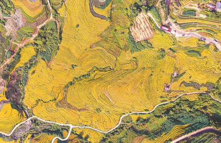 福建：谷豐倉滿，糧安八閩