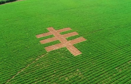 陜西靖邊 塞上糧倉