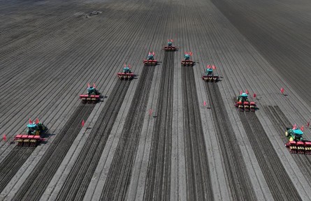 守好糧食生產的命根子！我國擬立法加強耕地保護和質量提升