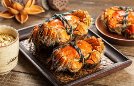 辟謠|剛死的螃蟹，到底能不能吃？