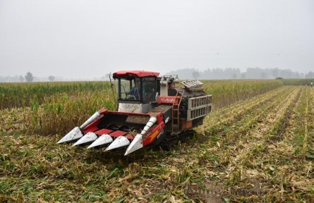 如何打好秋收秋種這場(chǎng)硬仗？