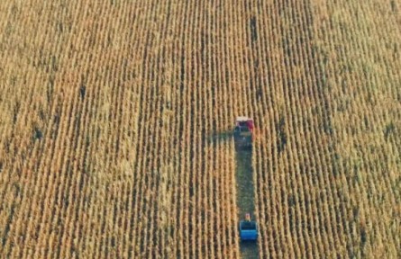 吉林秋收“加速度”，進(jìn)度同比提速5%