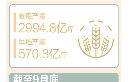 前三季度農(nóng)村居民人均可支配收入同比實(shí)際增長6%