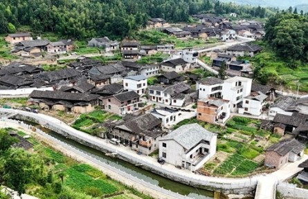 福建寧德蕉城金涵畬族鄉(xiāng)：“三領(lǐng)”實(shí)踐盤活“高山糧倉(cāng)” 筑牢“幸福靠山”