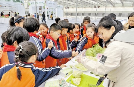 河北：鮮食蔬菜“爭寵” 餐桌綠意更濃