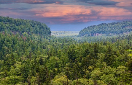 科技名詞|自然保護區(qū) nature reserve,nature sanctuary