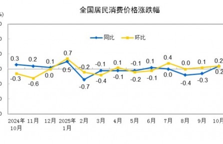 國家統(tǒng)計(jì)局：10月份居民消費(fèi)價(jià)格同比上漲0.2%