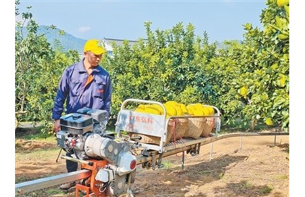 廣東梅州梅縣區(qū)南福村延伸金柚產(chǎn)業(yè)鏈,推動(dòng)農(nóng)文旅融合——柚農(nóng)從一季賣果到四季有進(jìn)項(xiàng)