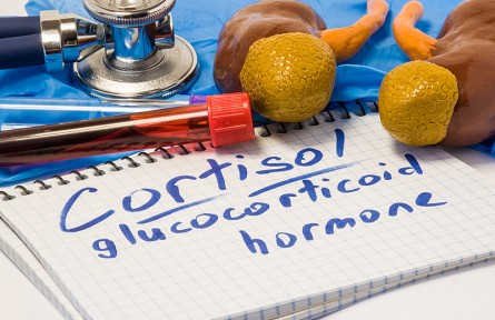 科技名詞|糖皮質(zhì)激素 glucocorticoid；glucocorticosteroid