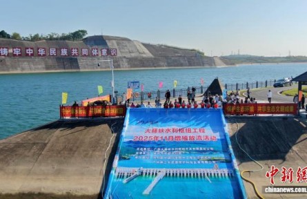 廣西大藤峽工程累計(jì)放流近2000萬(wàn)尾魚苗 保護(hù)珠江流域生物多樣性