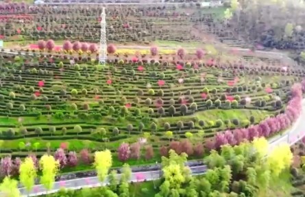 我國現(xiàn)代農(nóng)業(yè)產(chǎn)業(yè)園總產(chǎn)值超3萬億元