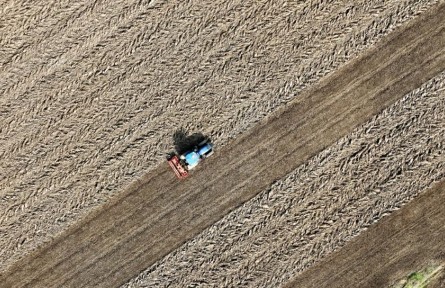 記者手記：晚播晚種，會影響“中原糧倉”明年夏收嗎？