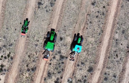 內(nèi)蒙古5年完成防沙治沙6688萬(wàn)畝