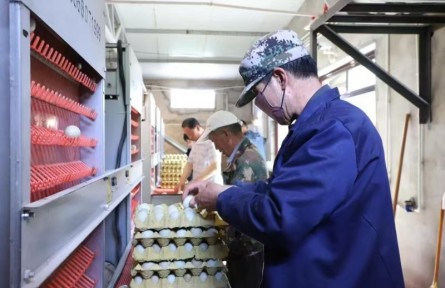 寧夏固原地理標志全產(chǎn)業(yè)鏈產(chǎn)值達108.5億元