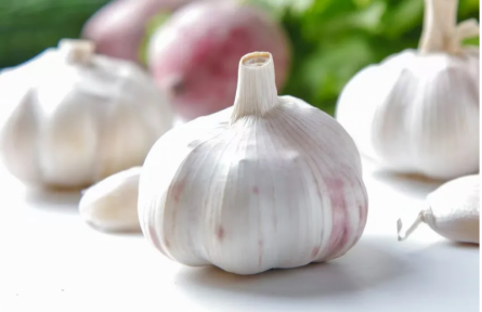 家鄉(xiāng)特優(yōu)農(nóng)產(chǎn)品大學(xué)生推薦官 | 品牌手記?：金鄉(xiāng)大蒜里的匠心傳承與產(chǎn)業(yè)新生