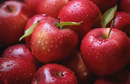 家鄉(xiāng)特優(yōu)農(nóng)產(chǎn)品“大學(xué)生推薦官”行動(dòng) | 品牌手記?：臨猗—“蘋”添幸福的密碼