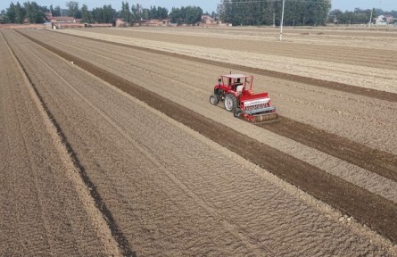 今冬不放松,來年“豐”可期——多地冬種及田間管護(hù)見聞