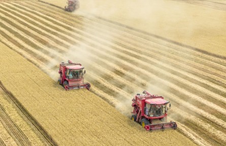 筑牢發(fā)展安全根基 守住風(fēng)險(xiǎn)防控底線——解碼中國(guó)經(jīng)濟(jì)穩(wěn)健前行的底氣