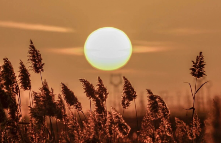 甘肅敦煌：大漠孤煙直，黨河落日圓